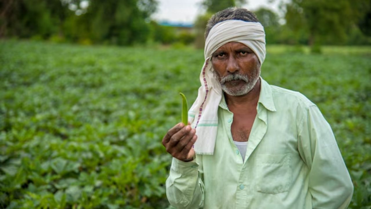 Up Govt Sign Mou With Google Itc Aqua Bridge To Bring Major Changes In Agriculture Production Across 28 Districts Under Up Agrees Project