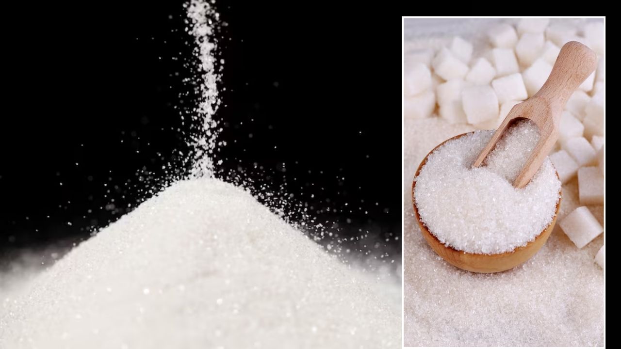 Sugar Mills Assigned Fortnightly Sales Quotas Starting September Prices Have Softened Ministry