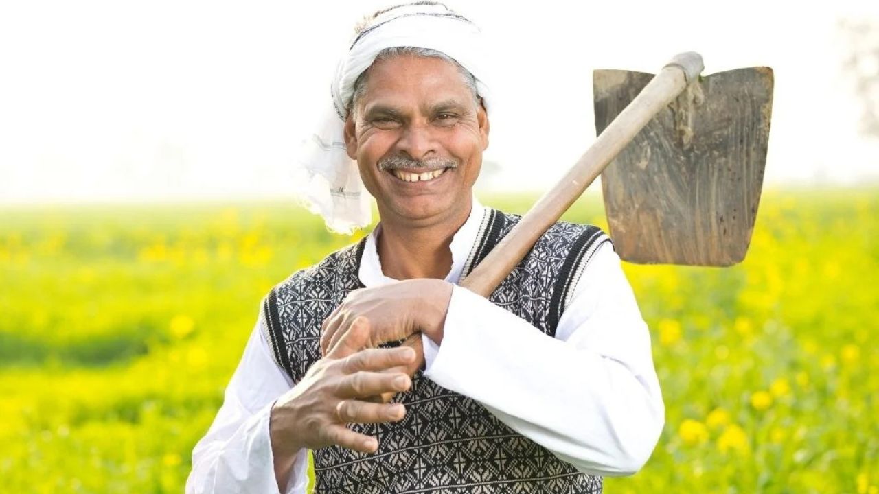 Himachal Pradesh Extends Crop Insurance Deadline Maize And Paddy Are Safe Get Insurance By August 15