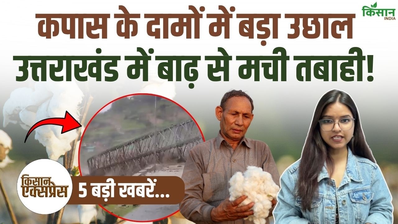 Flood Havoc In Uttarakhand Government Announces Major Relief Package For Paddy And Sugarcane Farmers