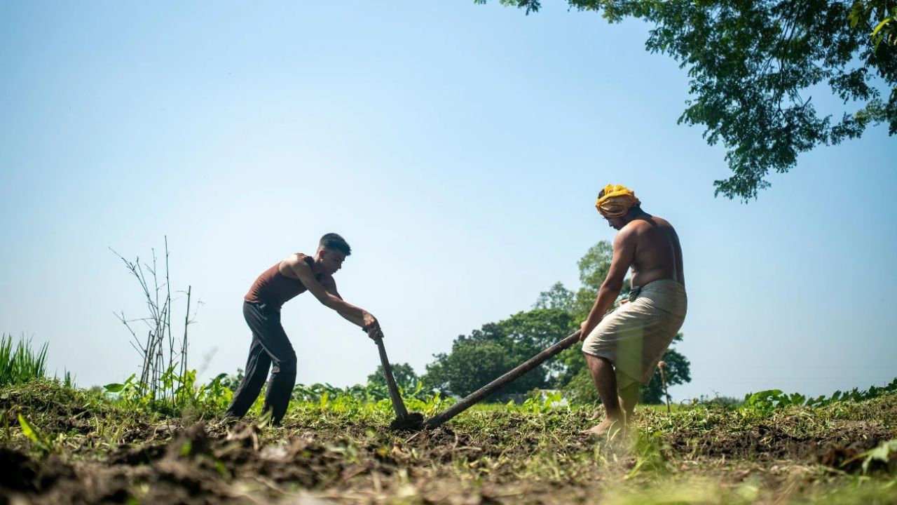 Punyashlok Ahilyadevi Holkar Loan Waiver Scheme The Second Installment Of Loan Waiver For Farmers In Maharashtra Has Been Released