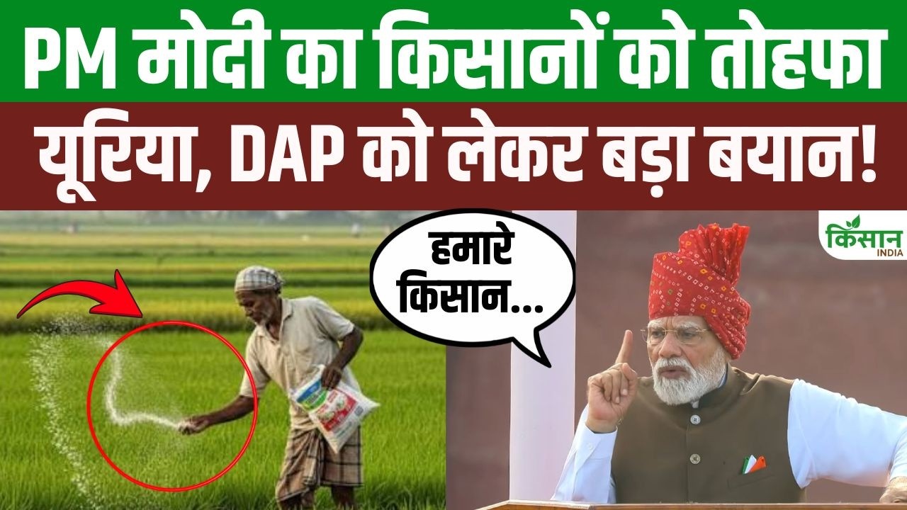 Pm Modi Major Announcement On August 15 Urea Farmers At 300 Dap At 1350