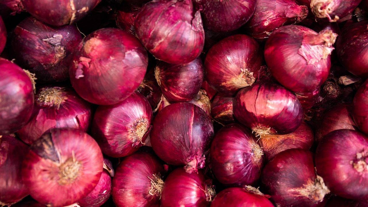 Centre To Sell Onions At Rs 35 Per Kg In Delhi From Thursday Amid Price Surge