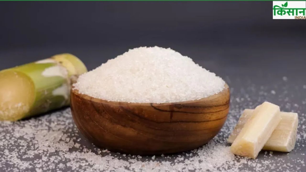 Sugar Price Hike Nfcsf Demanded Government Release Official Data On Existing Stocks