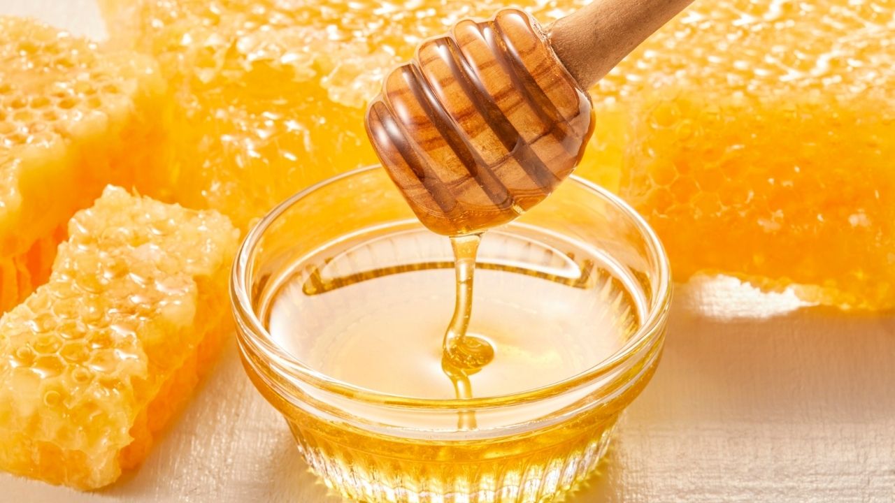 Agri Export 1 Metric Ton Tripura Mustard Honey Exported To Dubai For The First Time