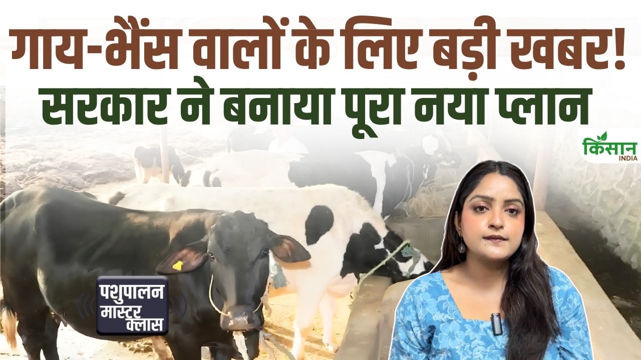 Animal Husbandry Is Set Become Easier Farmers Get Relief Through Kcc Medical Care And Subsidies