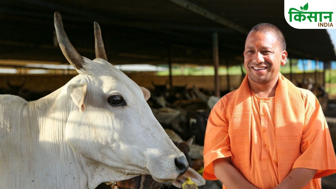 Uttar Pradesh Yogi Government Gen Z Cow Protection Campaign 10000 Gau Mitra To Be Appointed In Up