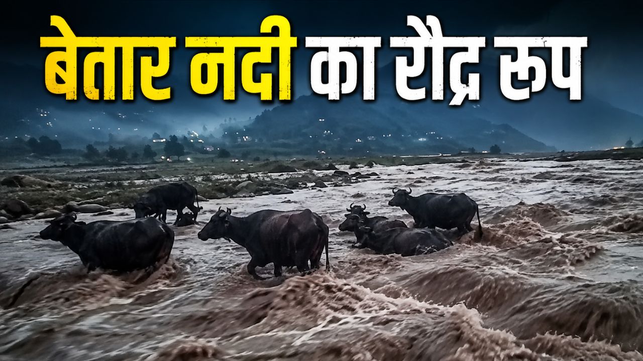 मौत के मुंह से निकली जिंदगी! उफनती नदी में फंसे लोग और 15 मवेशियों का रातभर चला रेस्क्यू मौत के मुंह से निकली जिंदगी! उफनती नदी में फंसे लोग और 15 मवेशियों का रातभर चला रेस्क्यू