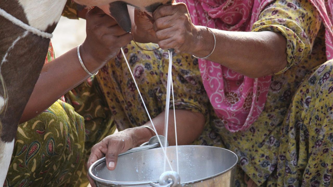बिहार के भागलपुर में सब्जी-दूध के लिए बनेगा नया बाजार, सुधा आउटलेट भी खुलेगा