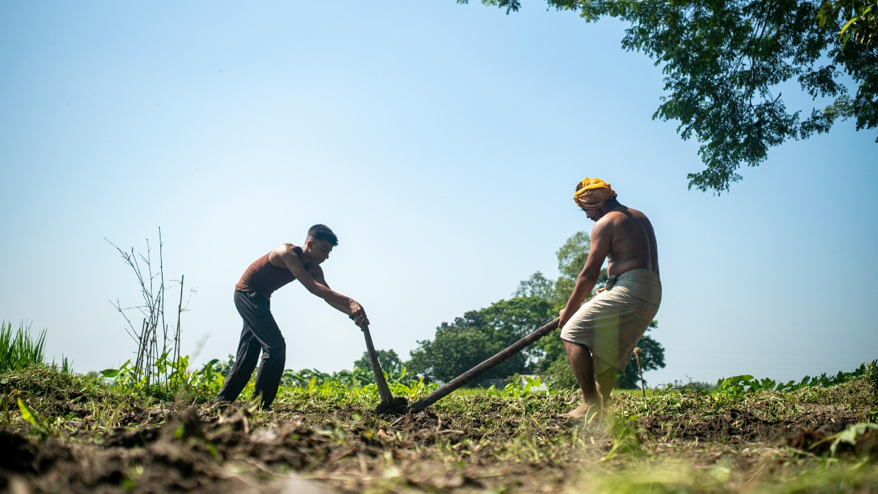 Agri Loan Farmers Ncdc Bill Direct Financial Assistance Without Middlemen