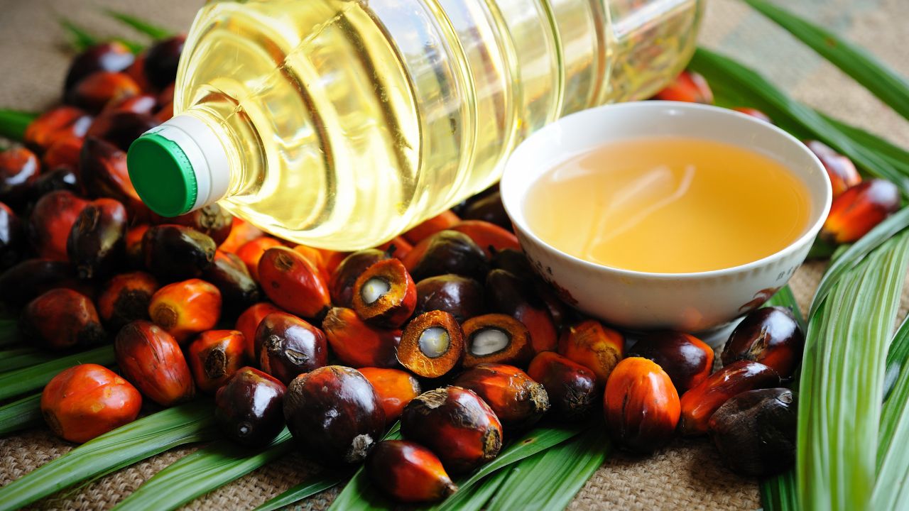 India Edible Oil Import Rises 33 Percent July 2026 Palm Soybean Oil Demand