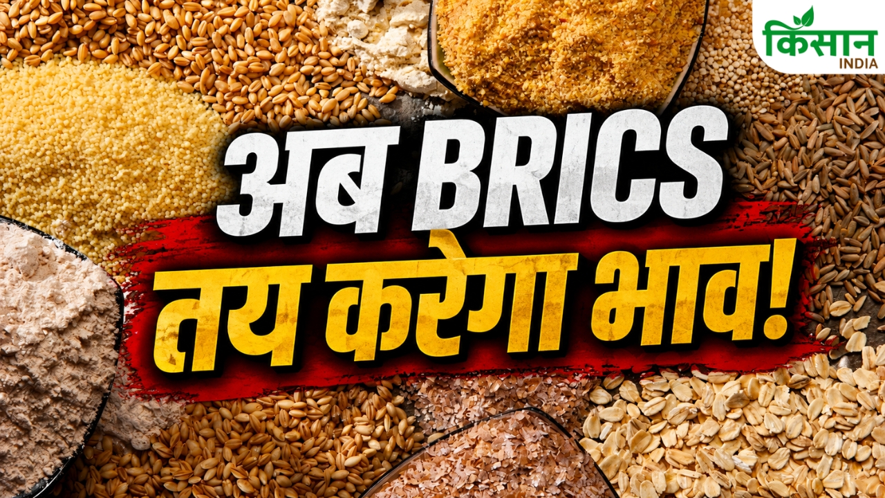 Brics Grain Exchange Farmers Direct Income Without Middlemen