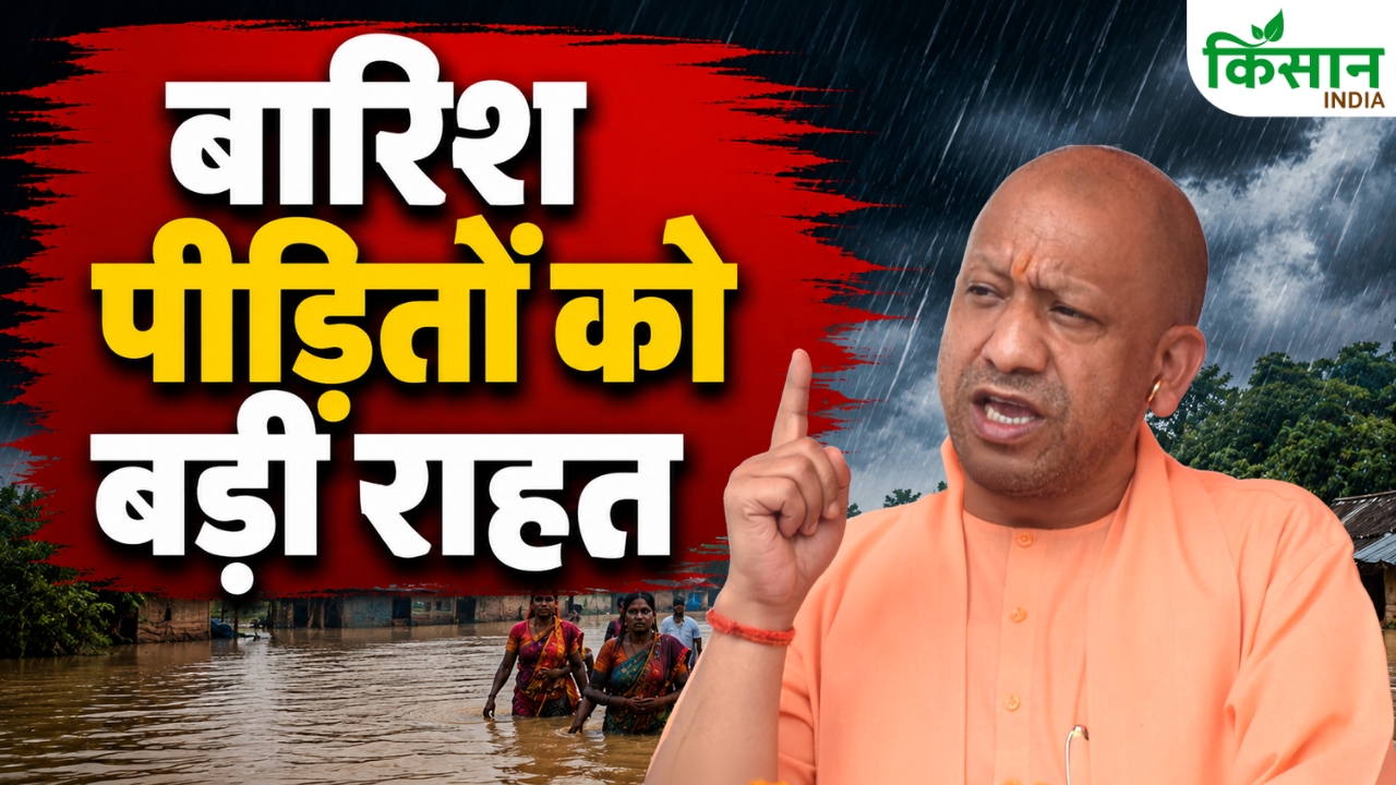 Cm Yogi Rain Victims 24 Hour Compensation Who Will Get How Much Money