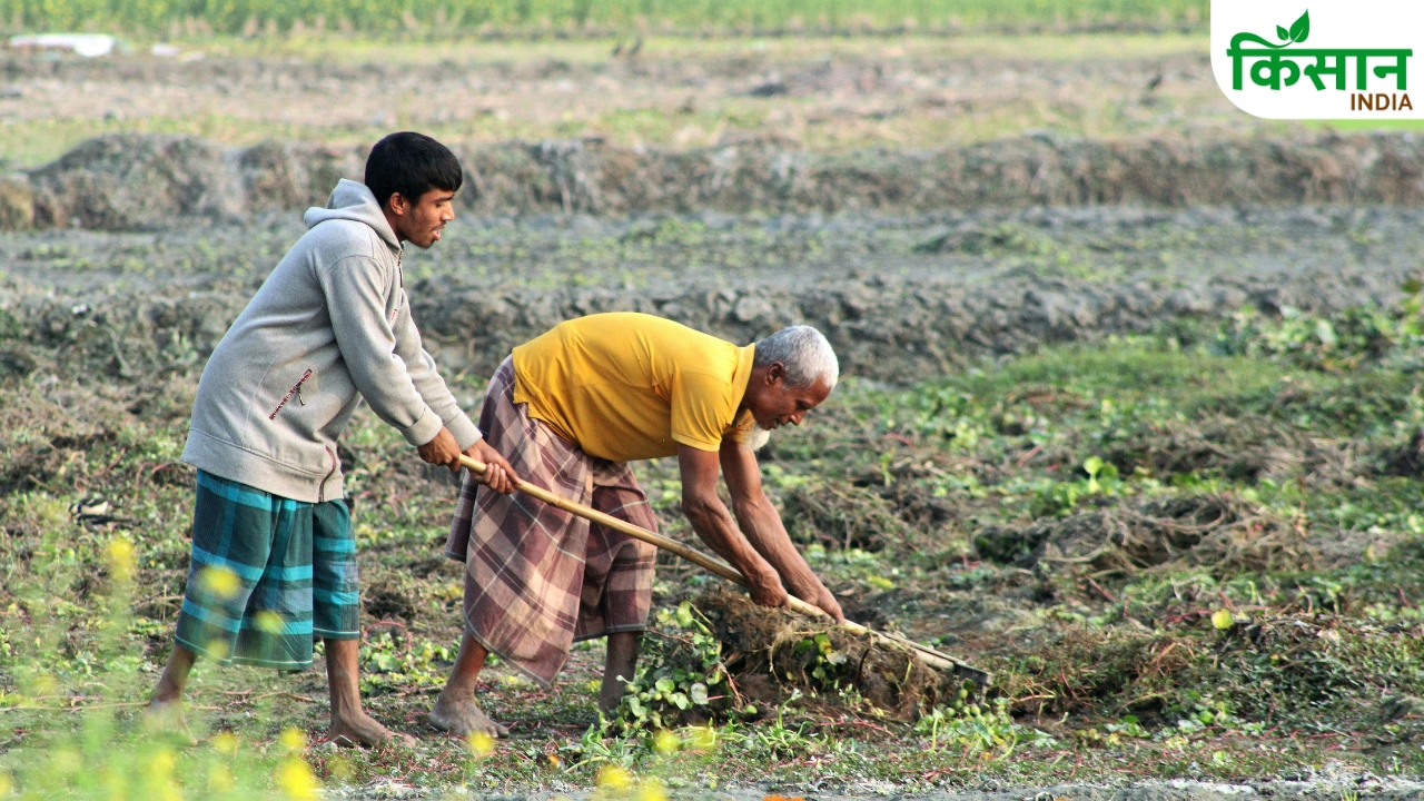 Installment Not Credited To Farmers Accounts These 5 Mistakes Reason For Payment Halt