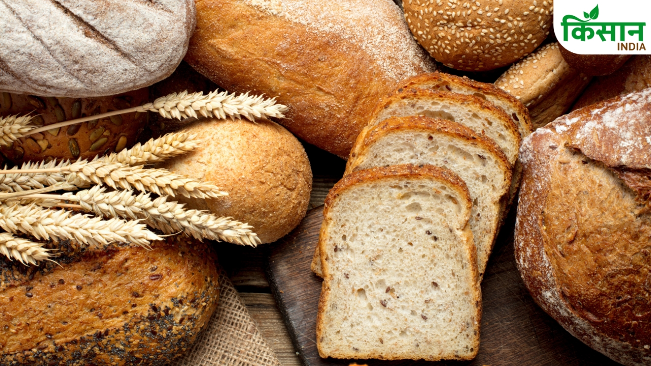 West Bengal Bread Price Hike One Pound Bread Rs 36