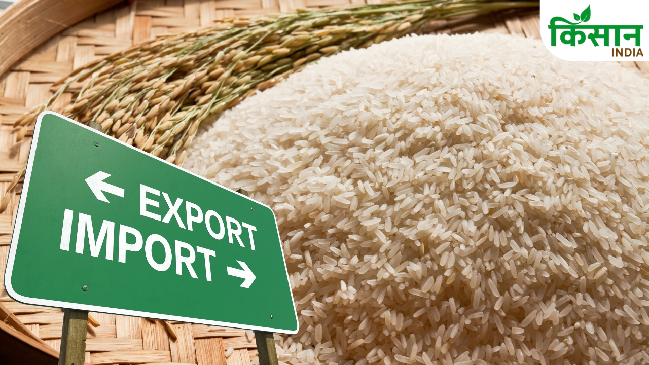 China Suspends 7 Indian Rice Exporters Licenses Gmo Dispute