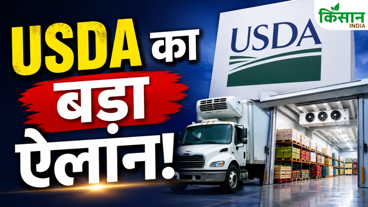 Foreign Market Cold Chain Usda Rs 71 74 Crore Grant