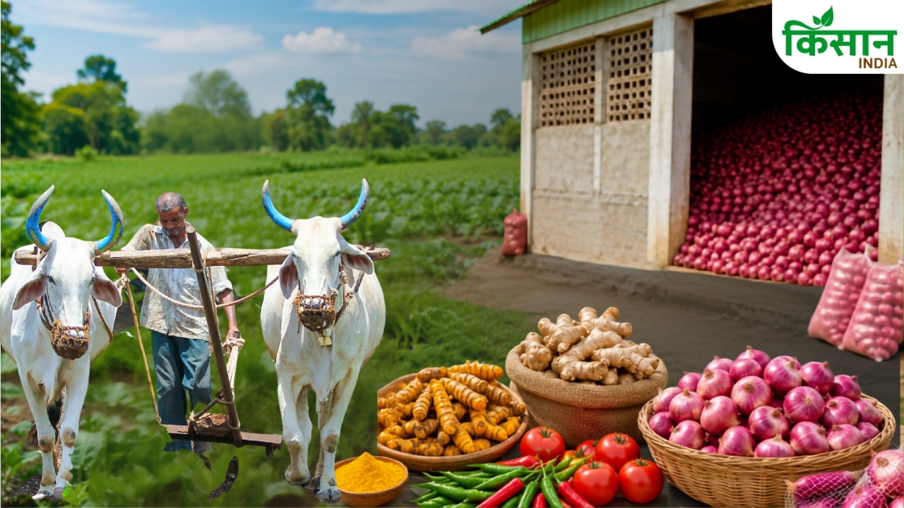 Bihar Vegetable Spice Farming 40 Thousand Subsidy Onion Storage 4 5 Lakh Grant