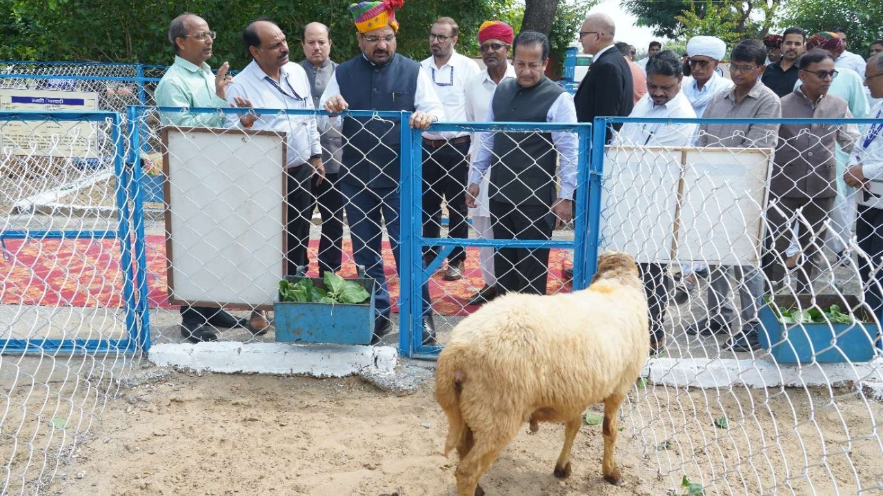 Avishaan Sheep Farming Icar Orders Nationwide Promotion Double Income