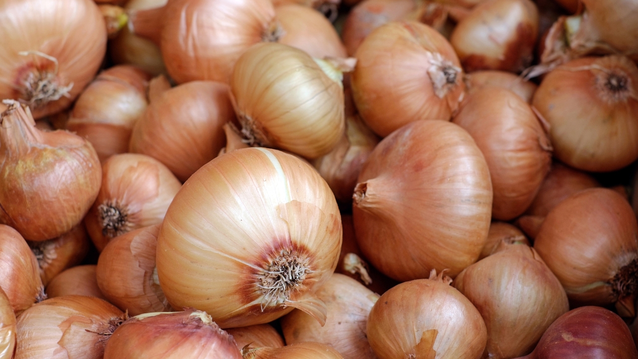 Bihar Onion Warehouse Subsidy 4 5 Lakh Scheme