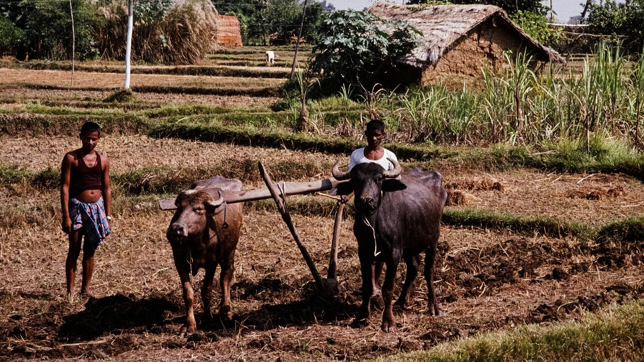 Natural Farming India 8 80 Lakh Hectare 18 19 Lakh Farmers Soil Health Card