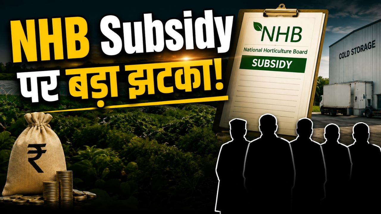 Nhb Subsidy New Rules Ministers Mps Government Employees Ineligible