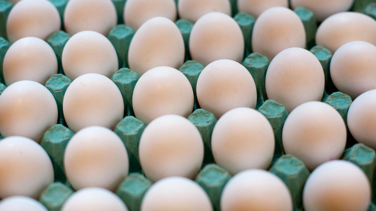 Egg Chicken Prices Fall Suddenly Know Why Rates Declined During Shravan