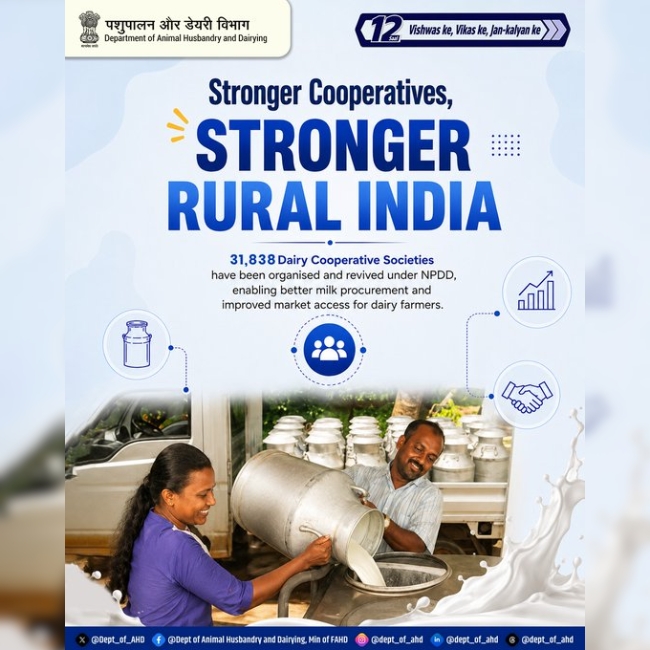 Dairy Cooperatives, Dairy Farmers, Milk Economy, NPDD, Milk Procurement, Rural Livelihoods