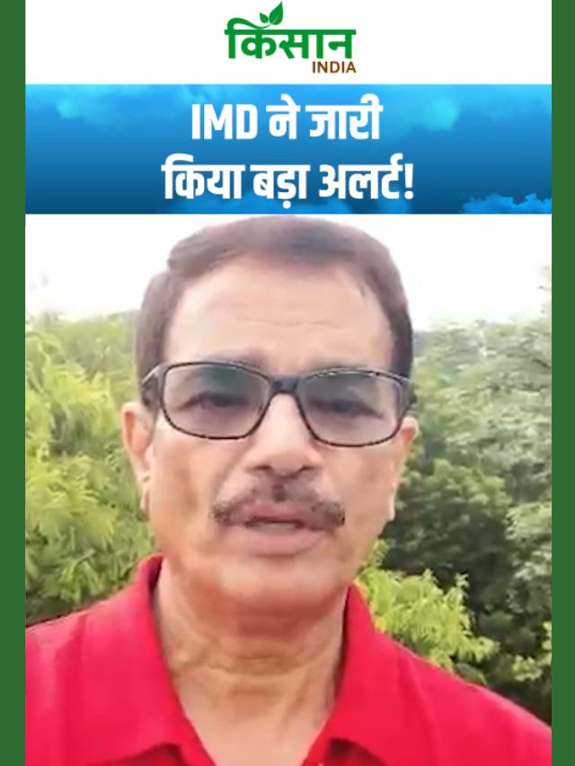 मौसम को लेकर बड़ी खबर, IMD ने जारी किया बड़ा अलर्ट! 23 राज्यों में मूसलाधार बारिश!