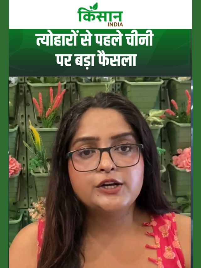 चीनी पर सरकार की बड़ी सख्ती, दिवाली से पहले हुआ बड़ा खेल