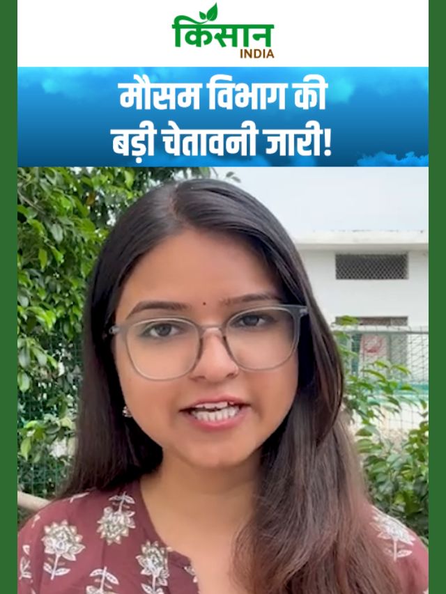 मॉनसून ने बढ़ाई मुसीबत! इन इलाकों में मूसलाधार बारिश, बाढ़ और वज्रपात का खतरा!