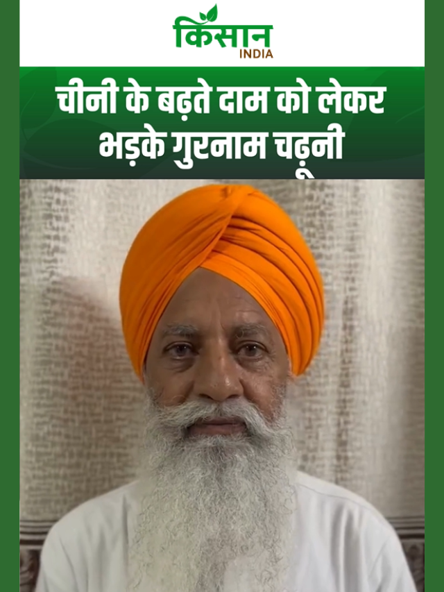 चीनी के बढ़ते भाव पर गुरनाम सिंह चढ़ूनी का पलटवार, बोले- किसान कब दिखेगा?