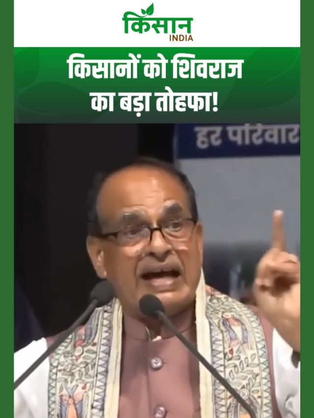 बिहार के किसानों को शिवराज सिंह चौहान का बड़ा तोहफा! अब फसल नुकसान की होगी भरपाई!