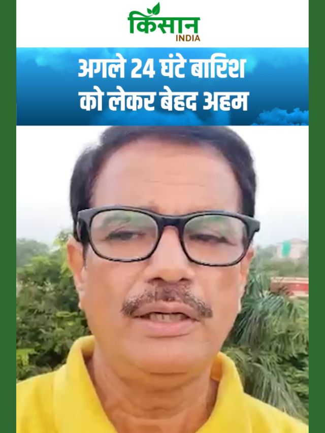 एक साथ सक्रिय सिस्टम ने बढ़ाई बारिश की संभावना, अगले 24 घंटों में जोरदार बारिश!