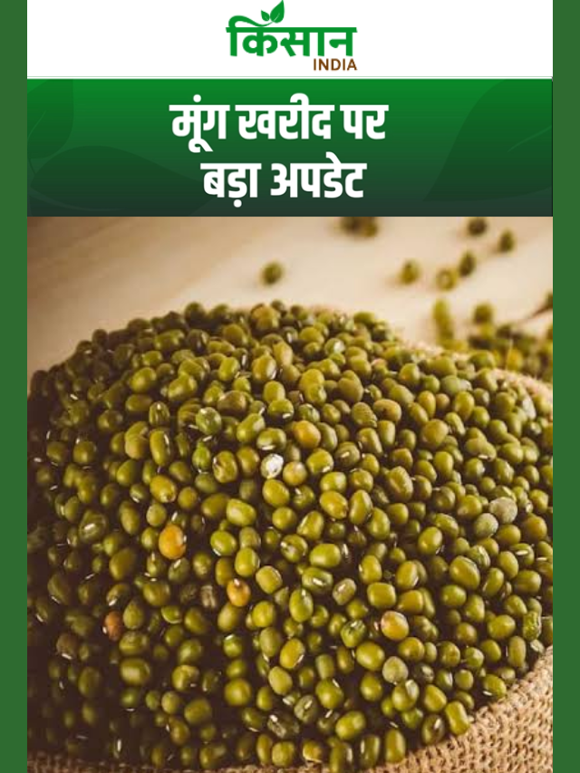मूंग किसानों को बड़ी राहत, स्लॉट बुकिंग 20 अगस्त तक