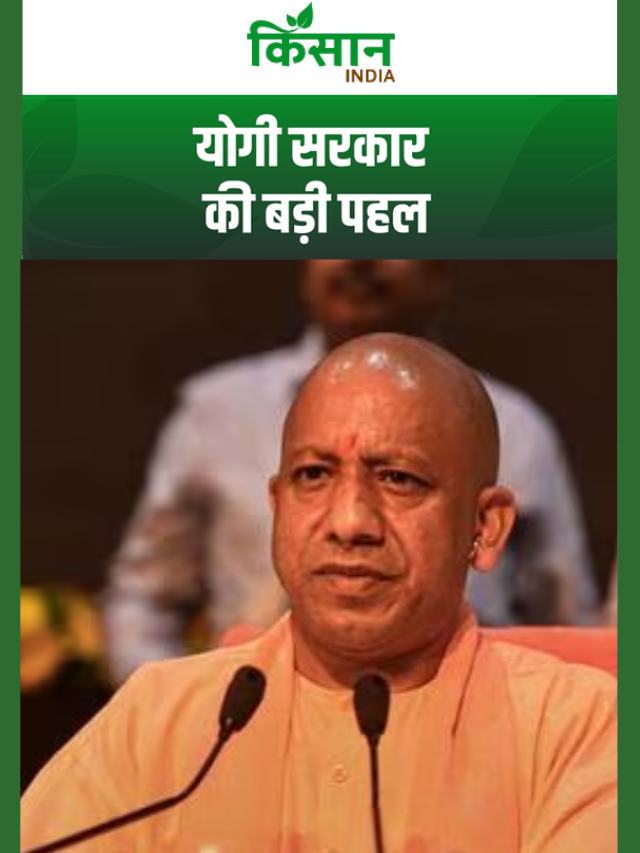 योगी सरकार की बड़ी पहल, भुर्जी-भड़भूजा समाज के लिए बनेगा श्री अन्न कला बोर्ड?