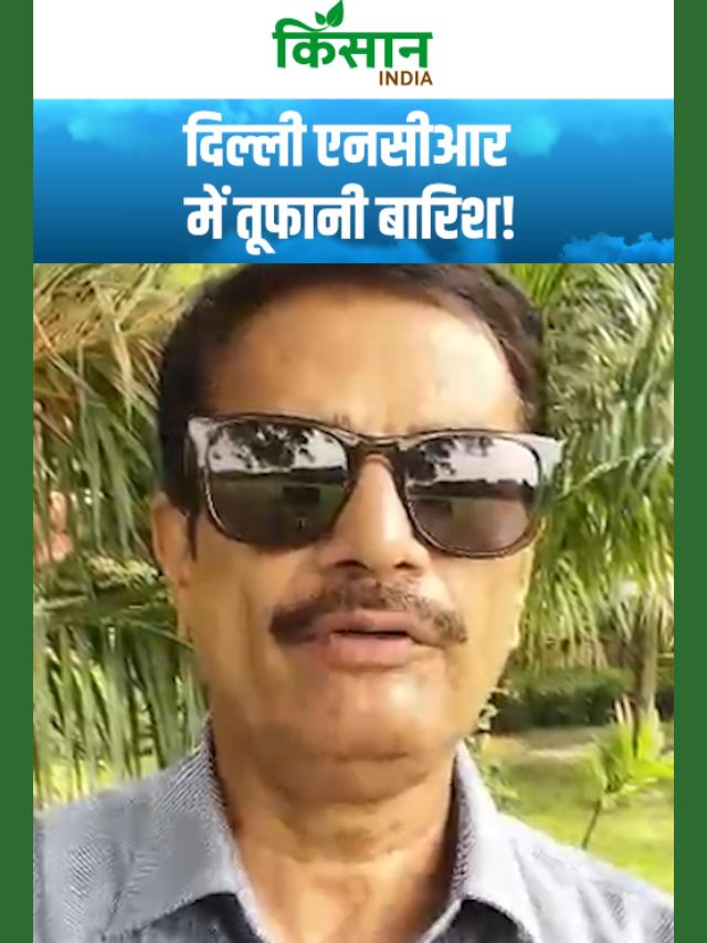 दिल्ली-एनसीआर में जमकर गरजेंगे बादल, इन इलाकों में होगी जबरदस्त बारिश!