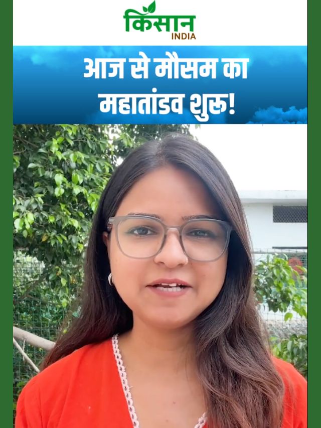 15 अगस्त को इन इलाको में होगी झमाझम बारिश, नए मौसमी सिस्टम से बदलेगा मौसम!
