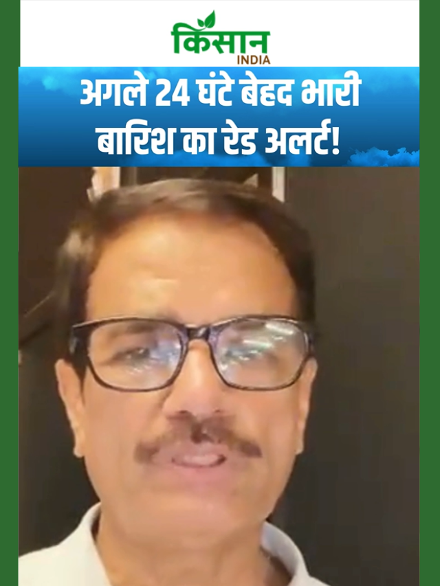 Weather: अगले 24 घंटे भारी बारिश का अलर्ट, इन 22 राज्यों में मूसलाधार बारिश का बड़ा अलर्ट
