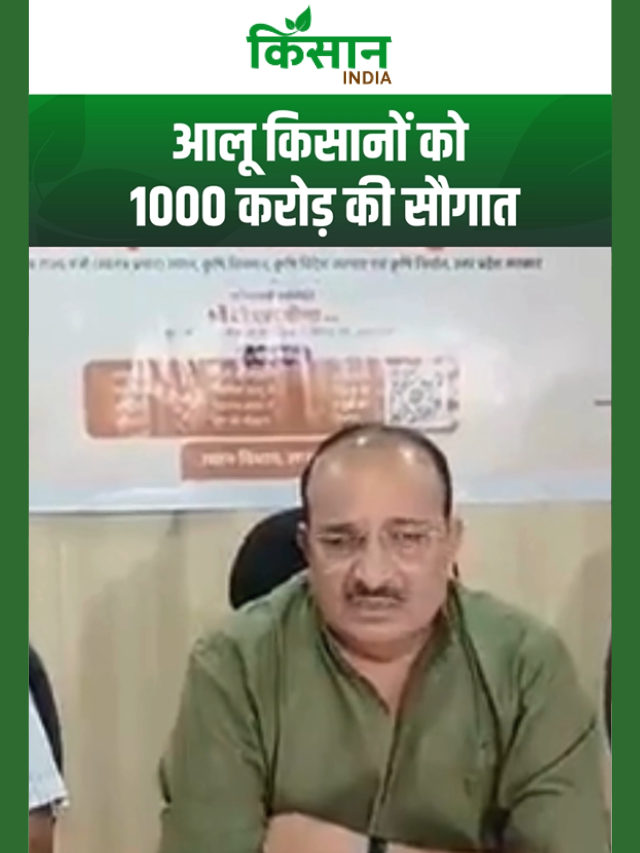 आलू किसानों के लिए बड़ी खुशखबरी, भाव गिरा तो सरकार देगी सहारा!