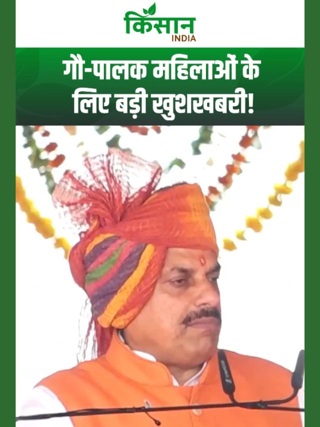 गौ-पालक महिलाओं के लिए बड़ी खुशखबरी! सीएम मोहन यादव ने किया बड़ा ऐलान!