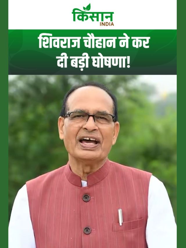 शिवराज सिंह चौहान ने किया बड़ा ऐलान, राजस्थान के गरीबों-किसानों को मिलेगी बड़ी राहत!