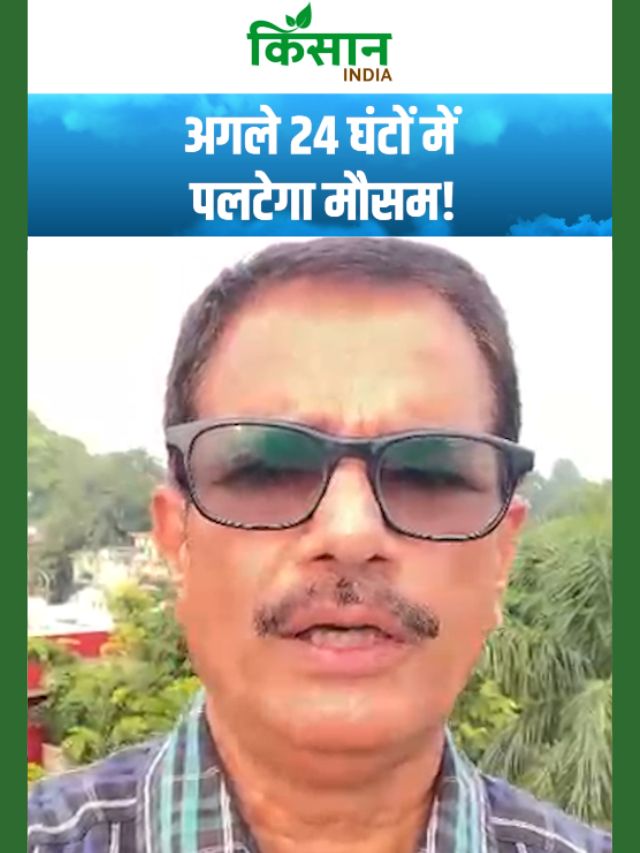 उत्तर भारत में मौसम ने बदले तेवर, UP बिहार समेत कई राज्यों में तेज बारिश की चेतावनी!