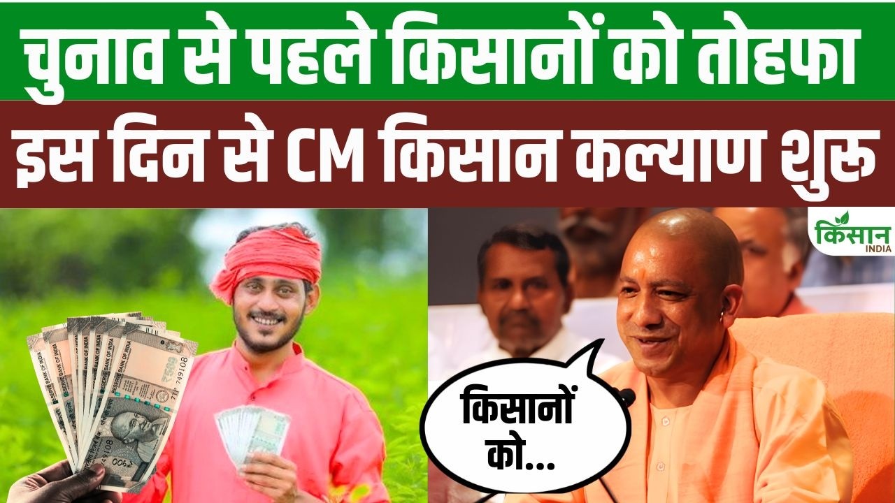 After Pm Kisan Gift Of 232 Crore For Farmers Cm Yogi Makes Major Announcement