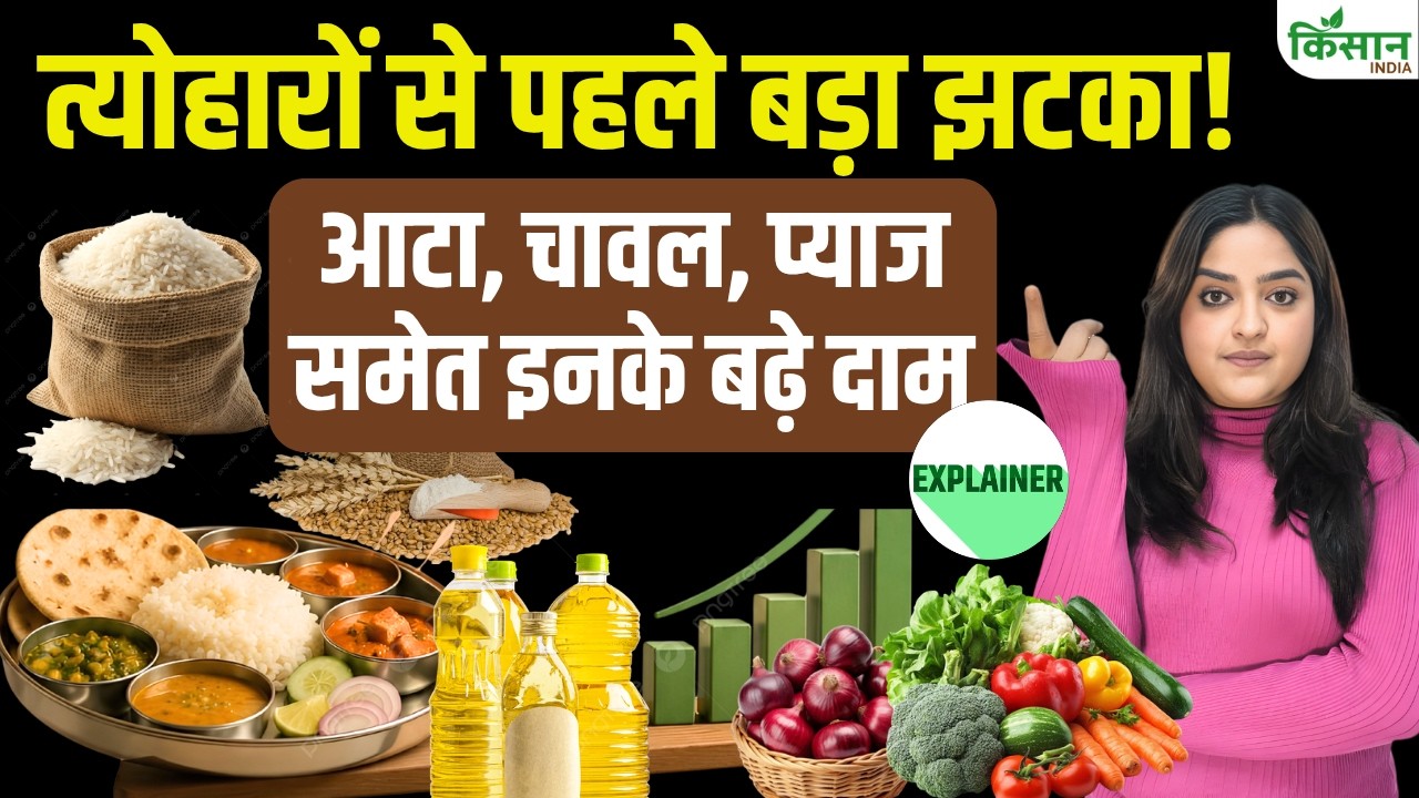 Kitchen Budget Disarray Ahead Raksha Bandhan Prices Everything From Onions And Rice Vegetables Have Risen Making Meal Plate Costlier