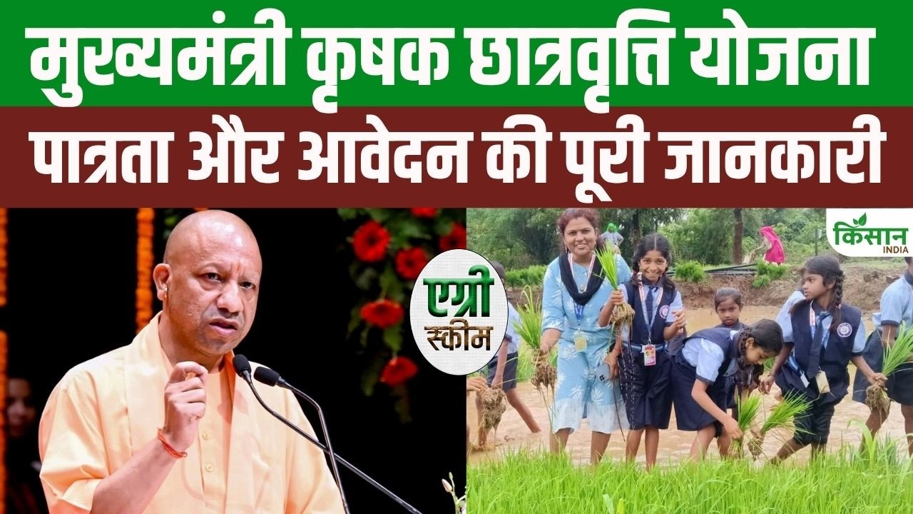 Great News Students Yogi Government Revised Scholarship Rules Find Out Eligibility Criteria And Full Details On Application Process
