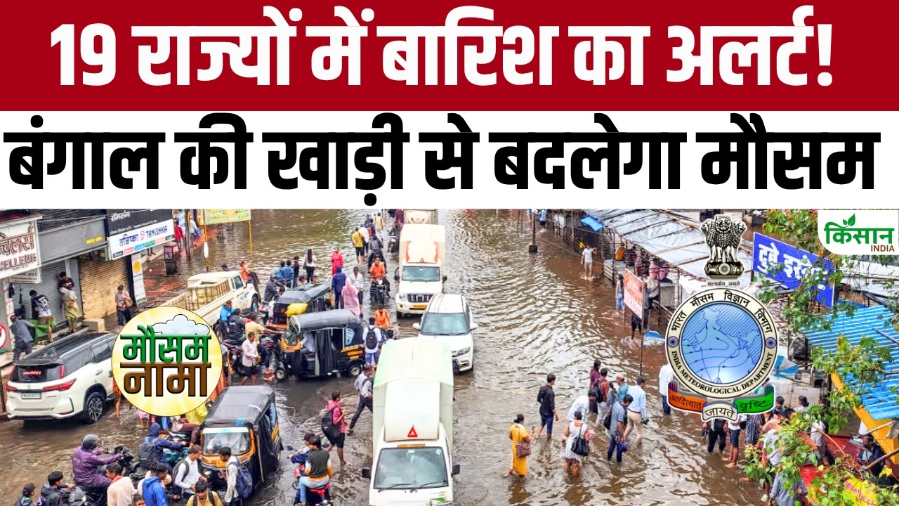 Todays Monsoon Updates Heavy Rain Danger Of Strong Storm And Lightning In 19 States Including Uttar Pradesh Bihar Delhi