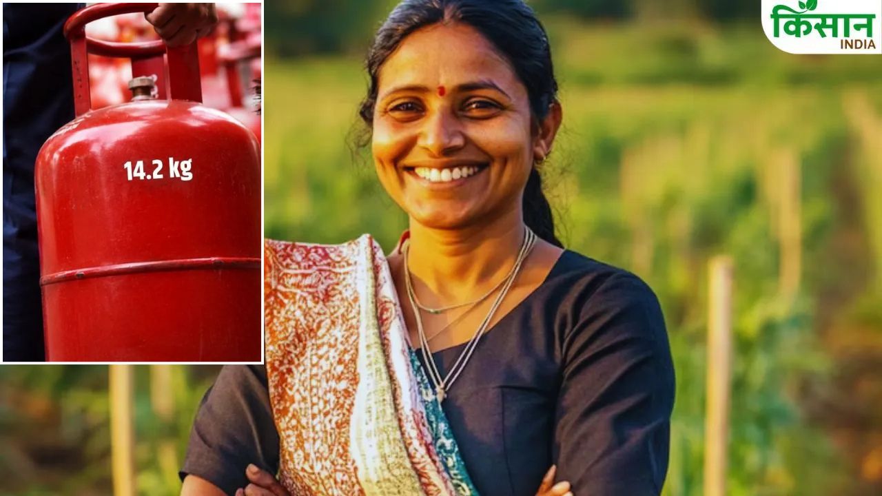 Free Gas Cylinder Tamil Nadu Women Receive 3 Free Gas Cylinders A Year Chief Minister C Joseph Vijay Announced