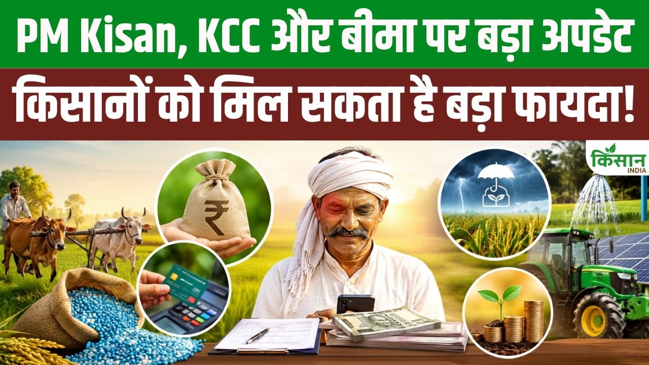 Major Update Pm Kisan Kcc And Crop Insurance Farmers Receive Three Major Benefits August September