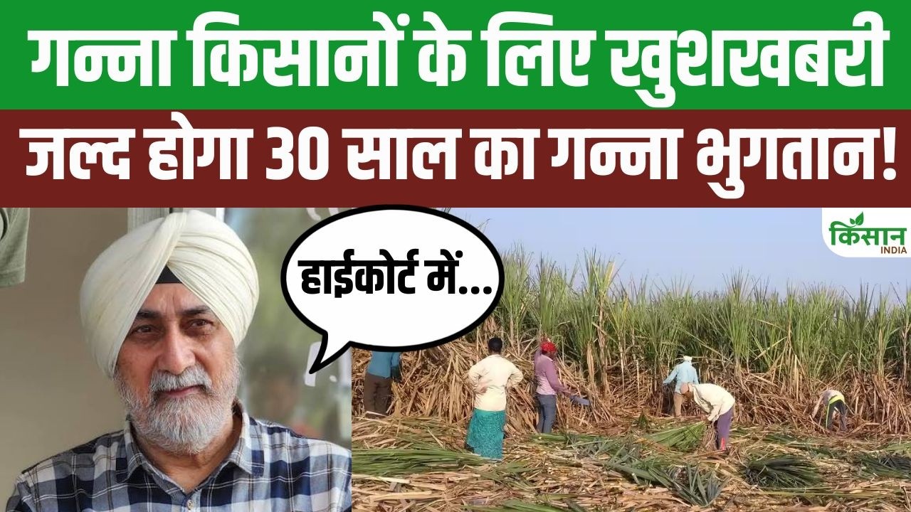 गन्ना किसानों को मिलने वाली है बहुत बड़ी खुशखबरी! Sardar VM Singh ने बताया हाई कोर्ट में क्या हुआ?